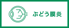 ぶどう膜炎 網脈絡膜炎外来 