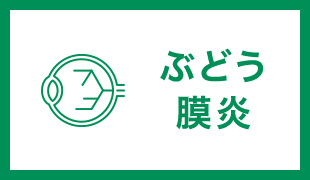 ぶどう膜炎 網脈絡膜炎外来 