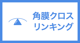 クロスリンキング