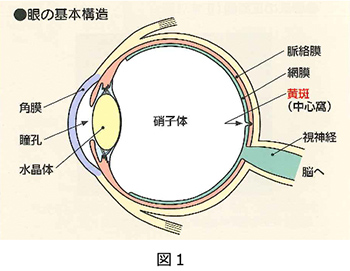 圧 方法 下げる 眼 を